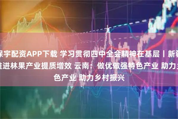 保宇配资APP下载 学习贯彻四中全会精神在基层丨新疆:全面推进林果产业提质增效 云南:做优做强特色产业 助力乡村振兴